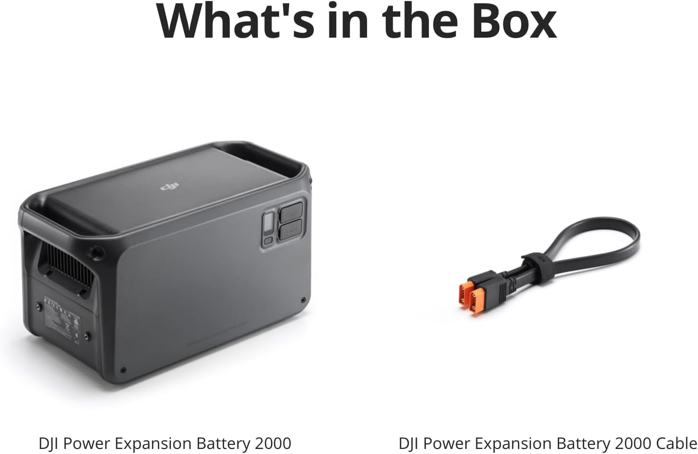 DJI Power 1000 Portable Power Station with Protective Storage Bag, 1024Wh LiFePO4 Battery, 2200W Solar Generator, Home Backup, 4-in-1 Fast Charging, 23db Ultra-Silent, Camping  RVs, Off-grid